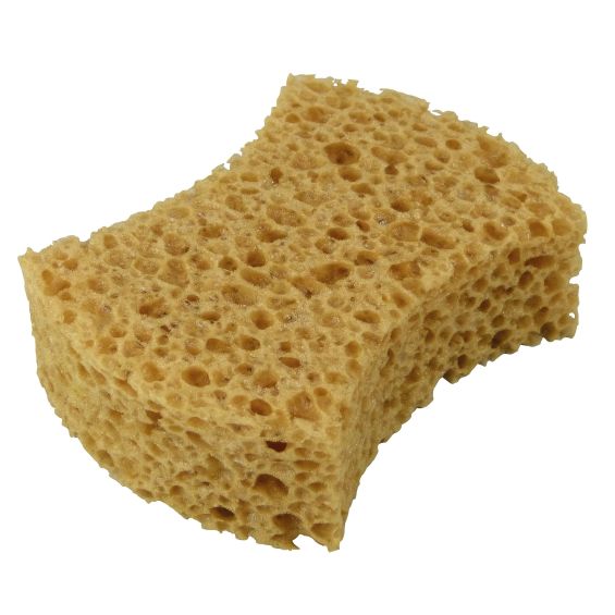 Spons